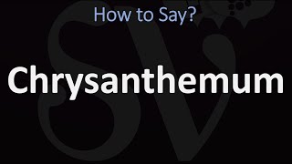 How to Pronounce Chrysanthemum CORRECTLY [upl. by Razaele]