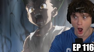 GON RAGES AT PITOU  Hunter x Hunter REACTION Episode 116 [upl. by Damalis]