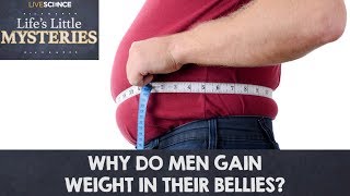 Why Do Men Gain Weight in Their Bellies [upl. by Bedad51]