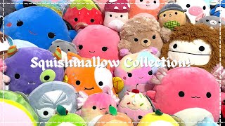 my updated squishmallow collection  july 2021 over 100 squishmallows [upl. by Llerrad819]