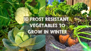 10 Frost Resistant Vegetables to Grow in Winter [upl. by Harv]