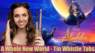 Aladdin  A Whole New World  Tin Whistle Tutorial [upl. by Narra]