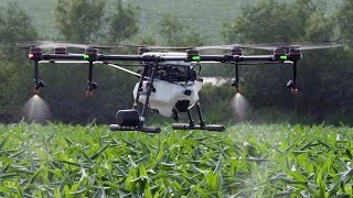 DJI MG1S  Agricultural Wonder Drone [upl. by Carolyn740]