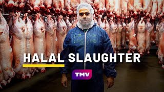 What is HALAL SLAUGHTER QURBANI  Halal Meat Farm 🐑  Being Muslim [upl. by Ydeh299]