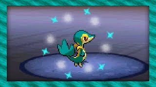 Live Shiny Snivy After Only 557 Soft Resets Pokémon White 2 [upl. by Oiluig613]