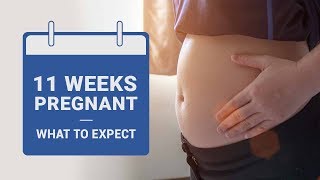 11 Weeks Pregnant What to Expect [upl. by Heurlin]