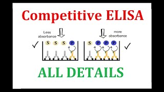 Competitive ELISA [upl. by Garey421]