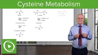 Cysteine Metabolism – Amino Acid Metabolism  Lecturio [upl. by Sitelc73]