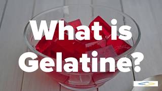 What is GelatineGelatin  Halal Gelatin [upl. by Ydnih886]