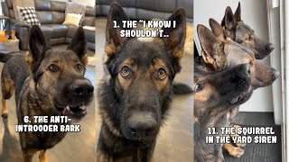 20 Sounds A German Shepherd Makes [upl. by Eilsil]