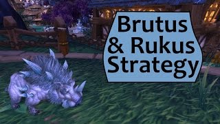 Brutus and Rukus Garrison Pet Menagerie Strategy [upl. by Fabrianna]