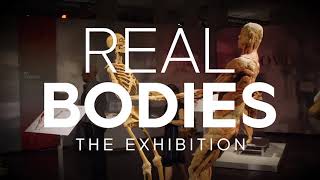 Real Bodies The Exhibition [upl. by Nahtanaj874]