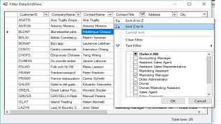 C Tutorial  Advanced Filter DataGridView  FoxLearn [upl. by Chaiken869]