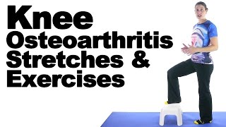 Knee Osteoarthritis  Wear amp Tear  What Exercises To Do [upl. by Ayekal]