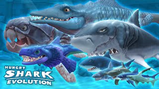 ALL SHARKS GAMEPLAY MONTAGE Hungry Shark Evolution  HD [upl. by Adiell611]