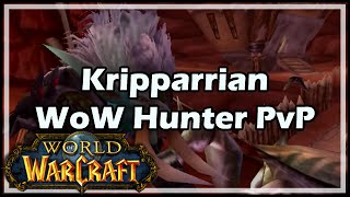 World of Warcraft Kripparrian  WoW Hunter PvP  WotLK [upl. by Sylram]