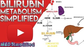 Bilirubin Metabolism Simplified [upl. by Jacques302]