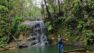 Exploring Suva in Fiji Island and Indian History in Fiji  Rikansh  ColoISuva Forest Park  fiji [upl. by Adrahc623]