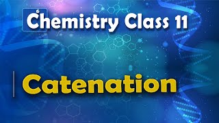 Catenation  P Block Elements  Chemistry Class 11 [upl. by Aube]