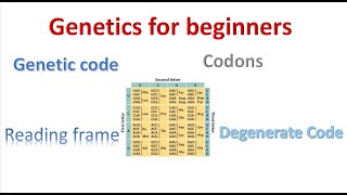 Genetics for beginners Genetic Code and codons [upl. by Gib]