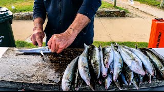 How to Fillet Skin amp Clean King George Whiting [upl. by Aitetel]