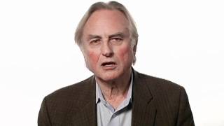 Richard Dawkins Faith  Big Think [upl. by Corb]