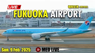 🟢LiVE Fukuoka Japan Airport Plane Spotting✈️福岡空港ライブカメラ Sun 9 Feb 2025 FUKRJFF [upl. by Jeanette849]