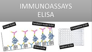 The Principle of Immunoassays ELISA Enzyme Linked Immunosorbent Assay [upl. by Naicul315]