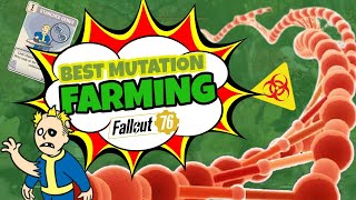 Best FREE Mutation Farming Method  Fallout 76 [upl. by Giusto]