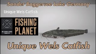 Unique Wels Catfish  Sander Baggersee Lake Germany  Fishing Planet Guide [upl. by Laitselec115]