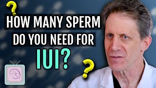 IUI  Procedure Cost and Complications [upl. by Nossyla963]