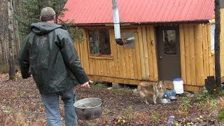 Life in an Off Grid Cabin [upl. by Ayanet945]