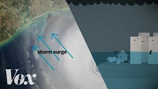 Why a storm surge can be the deadliest part of a hurricane [upl. by Finlay]