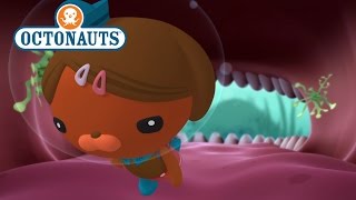 Octonauts The Cave with Teeth [upl. by Oinegue239]