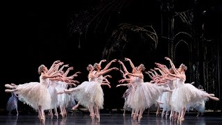 Swan Lake Corps de Ballet The Royal Ballet [upl. by Dani]