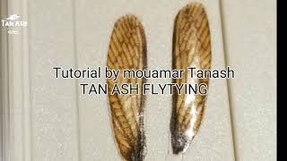 DIY realistic wings for any flies with smartphone and printer realistic fly tying [upl. by Limay984]