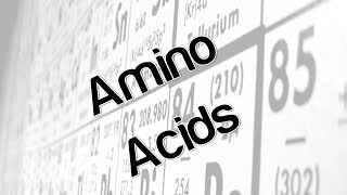 Amino Acids [upl. by Azer]