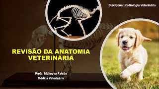 2ª Aula Radiologia Veterinária  Revisão da anatomia veterinária [upl. by Herve]