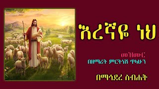 Mirtnesh Tilahun New mezmur Eregnaye neh may 28 2015 [upl. by Moureaux]