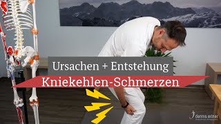 Kniekehlenschmerz  Entstehung und die wahren Ursachen [upl. by Rolando]