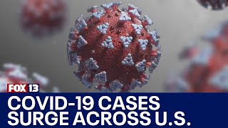 COVID19 infections surging across the country  FOX 13 Seattle [upl. by Eimia757]