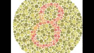 Test for Colour Blindness [upl. by Ahsehyt932]