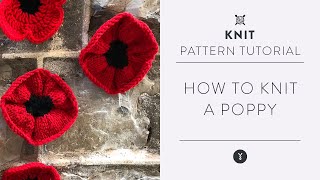 Easy Knit Poppy Pattern with Marly Bird  Beginner Tutorial [upl. by Eiggep]