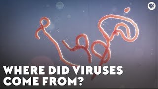 Where Did Viruses Come From [upl. by Chari]