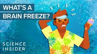 What Really Happens During A Brain Freeze [upl. by Obala]