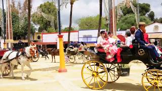 Jerez Horse Fair [upl. by Mcgrody]