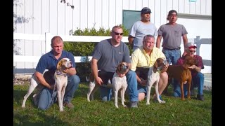 Hunting Coonhounds World Championship with Treeing Walker Winner [upl. by Nyret]