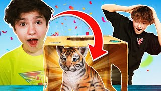 Whats in the BOX Challenge W GrantTheGoat LIVE ANIMALS [upl. by Atiniuq]