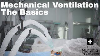 How a ventilator works [upl. by Bonnice]