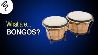 What are bongos How do they sound [upl. by Oiramaj]